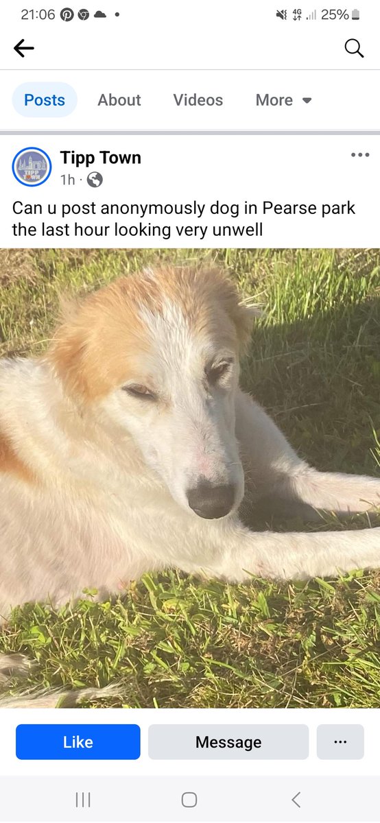 #TipperaryTown can anyone help please