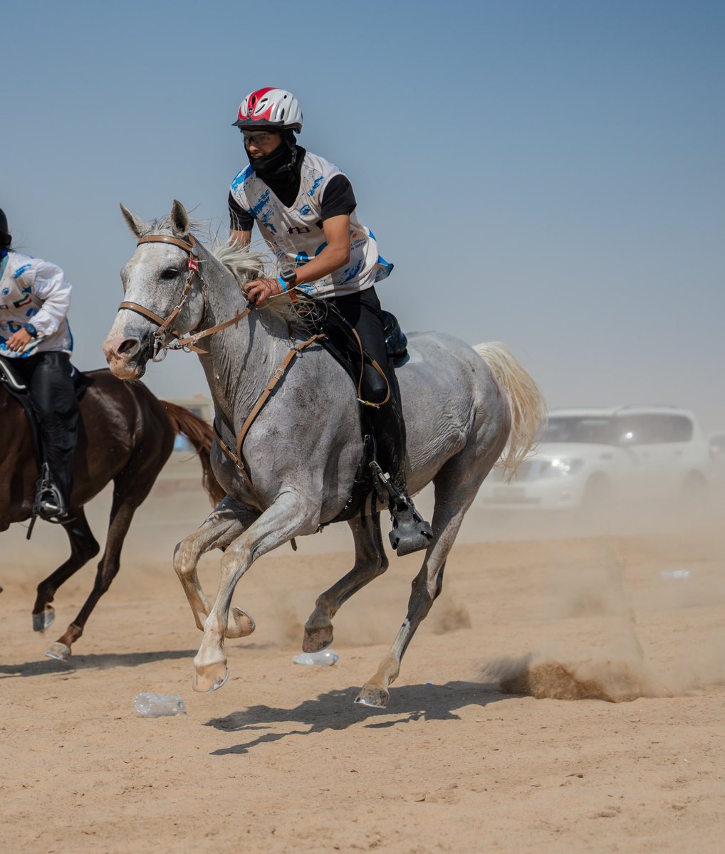 عمـر التيسـي tweet media