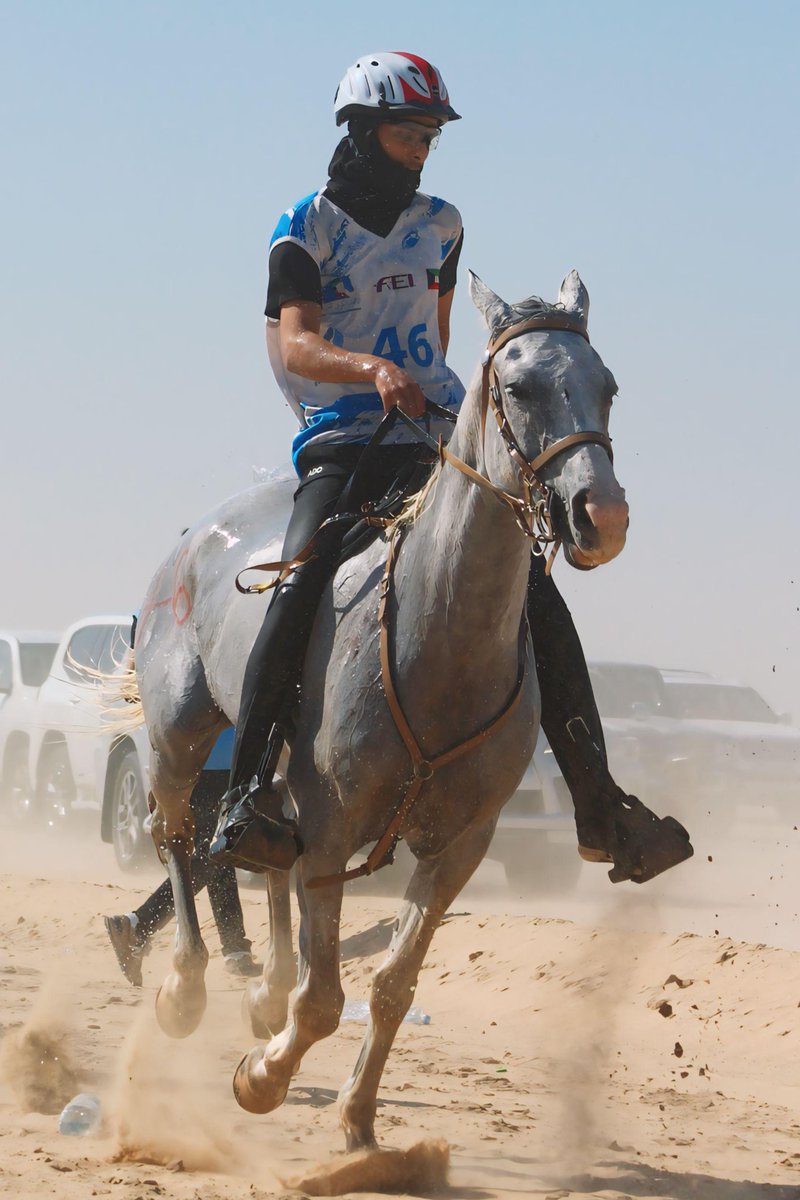 عمـر التيسـي tweet media