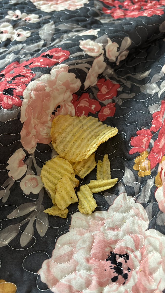 UVAsunbeam's tweet photo. Tell me why you don’t have a boyfriend without saying why you don’t have a boyfriend. Goes to take a nap: https://t.co/nhr7xKlaJn