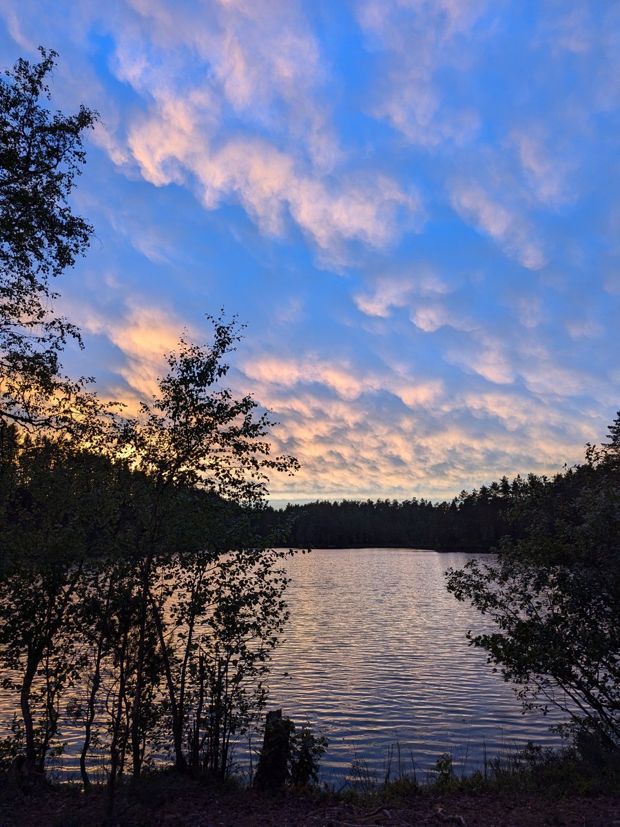 Parksjo's tweet image. Hammock camping tonight. Found a decent spot.