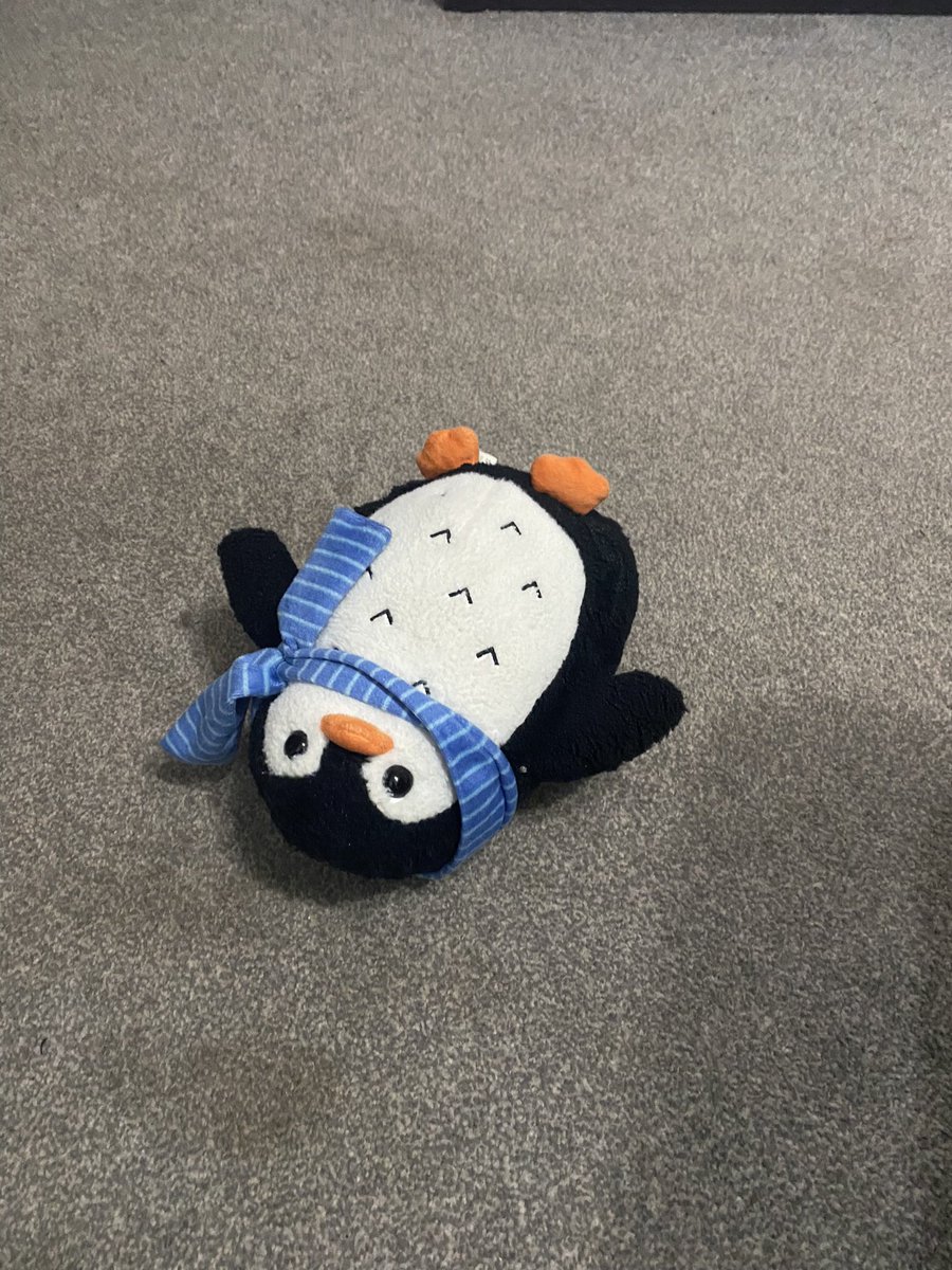 SadPenguinTime's tweet photo. Sad Penguin is feeling a bit lost right now. Things are chaotic and he just wants to lie on the floor. But also he feels a bit sad and alone too, even though things are busy. Penguins get lonely sometimes. But you’ve got to keep your flippers flipping. https://t.co/LnRrZMyTei