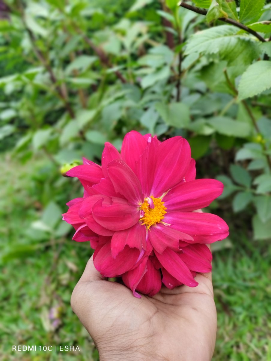 Chowdhuryimrann's tweet image. শারীরকে বঞ্চিত কেবল মুখে-রক্তসঞ্চারকে যেমন স্বাস্থ্য বলেনা সারাদেশকে বঞ্চিত করে রাজধানী বড় করাযায়না