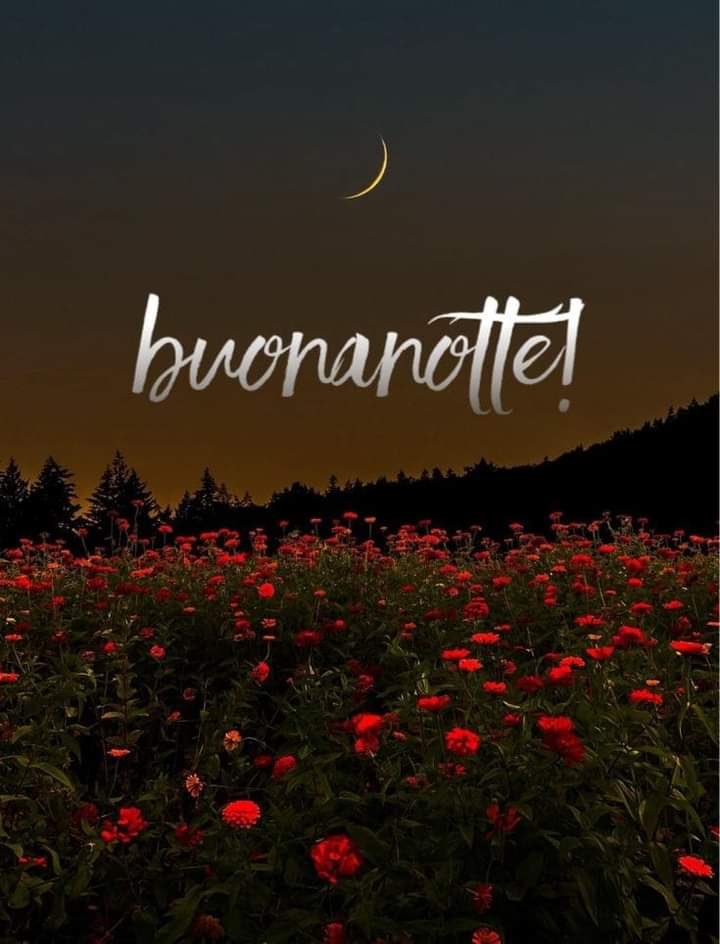 RITABIANCHi56 tweet media