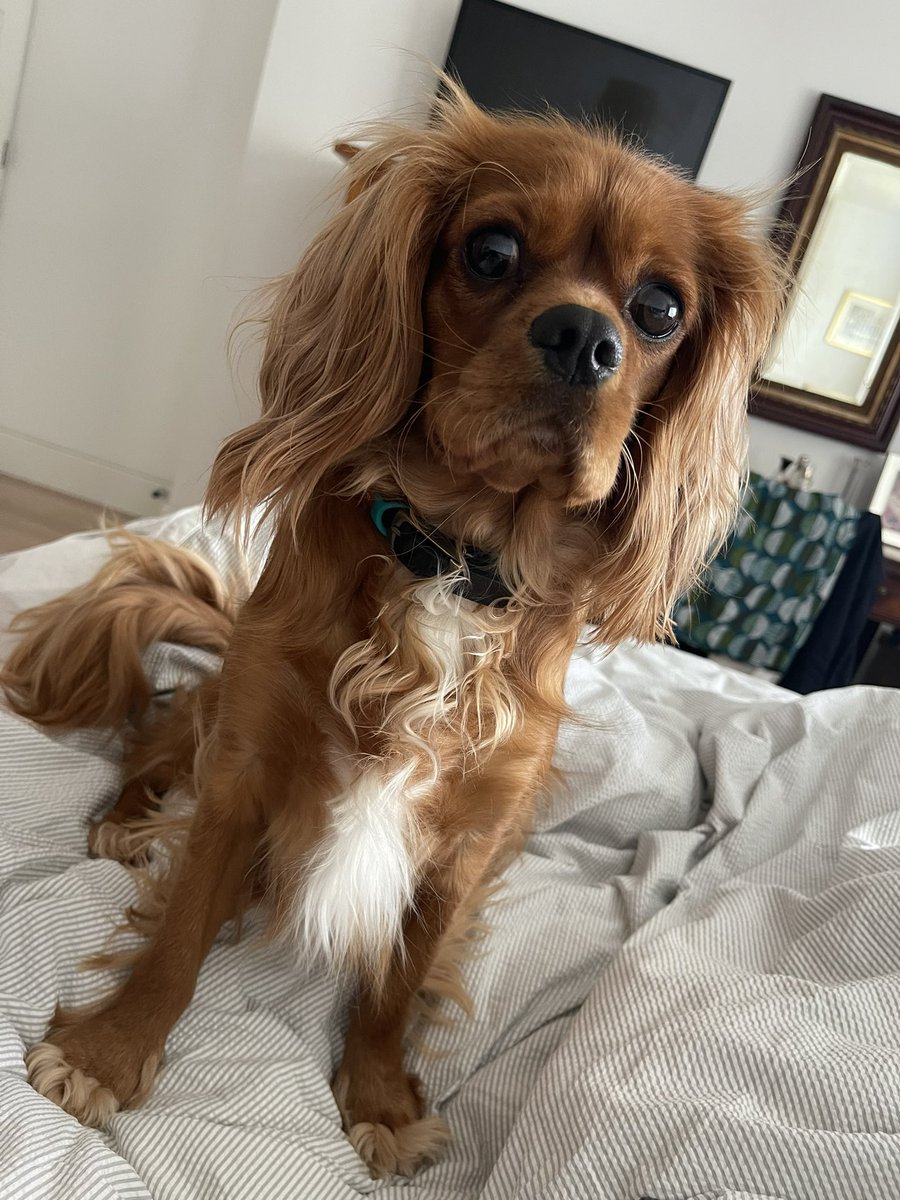 Sheila Edwards tweet media