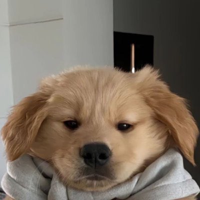 CipBit91's tweet photo. @crypt0wu Most friendly $BRO https://t.co/LXOu5nH83I