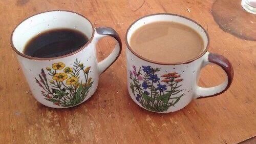 poeticalphotos's tweet photo. https://t.co/vrVsNiv5ez