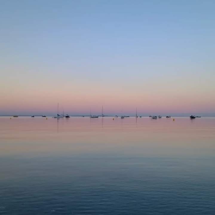 Sandrine Lorans (@colorsandar) on Twitter photo 