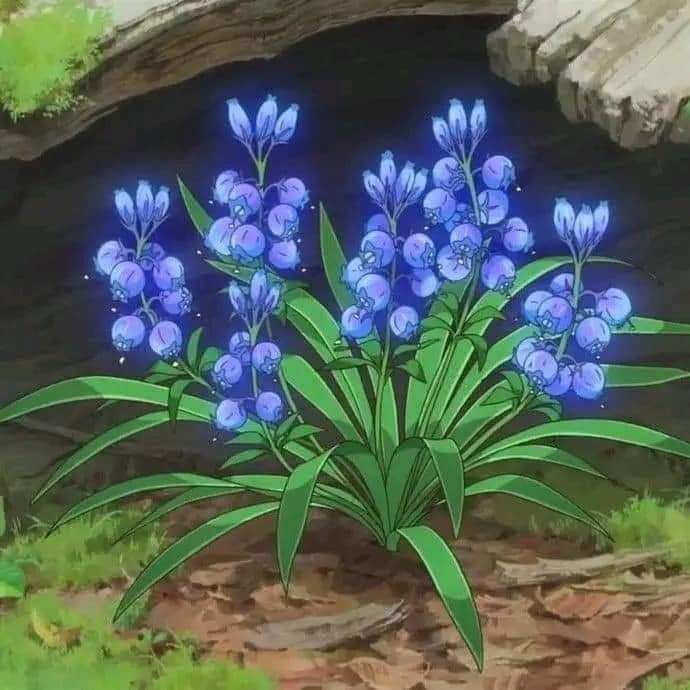 anime_'s tweet photo. Ghibli Flowers 🌺🍃 https://t.co/fWIvYrE7qN