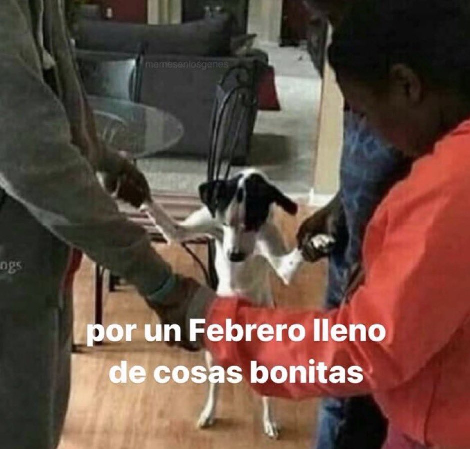 AX_OX15's tweet photo. A hit tweet puedo decir? Este es el momento que digo lo que vendo o patrocino cosas? No vendo nada pero mirad que memazos tengo https://t.co/KMmAKBatk5