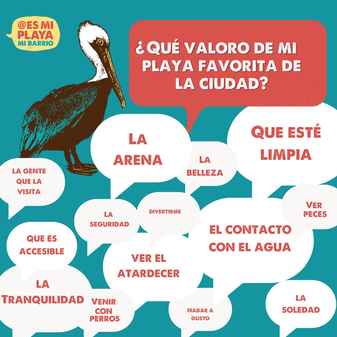 EsMiplayaMiBarrio tweet media