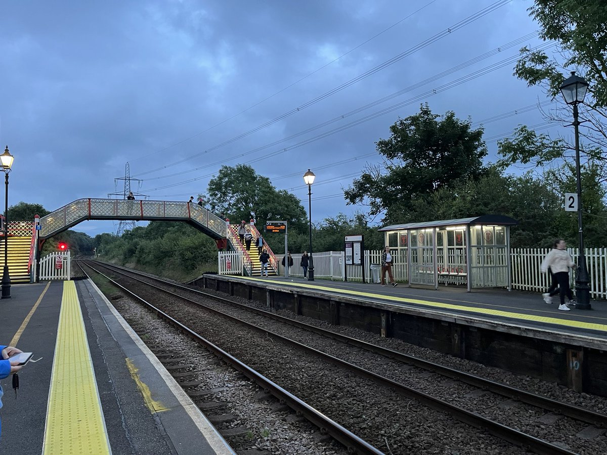 hanesygg tweet media