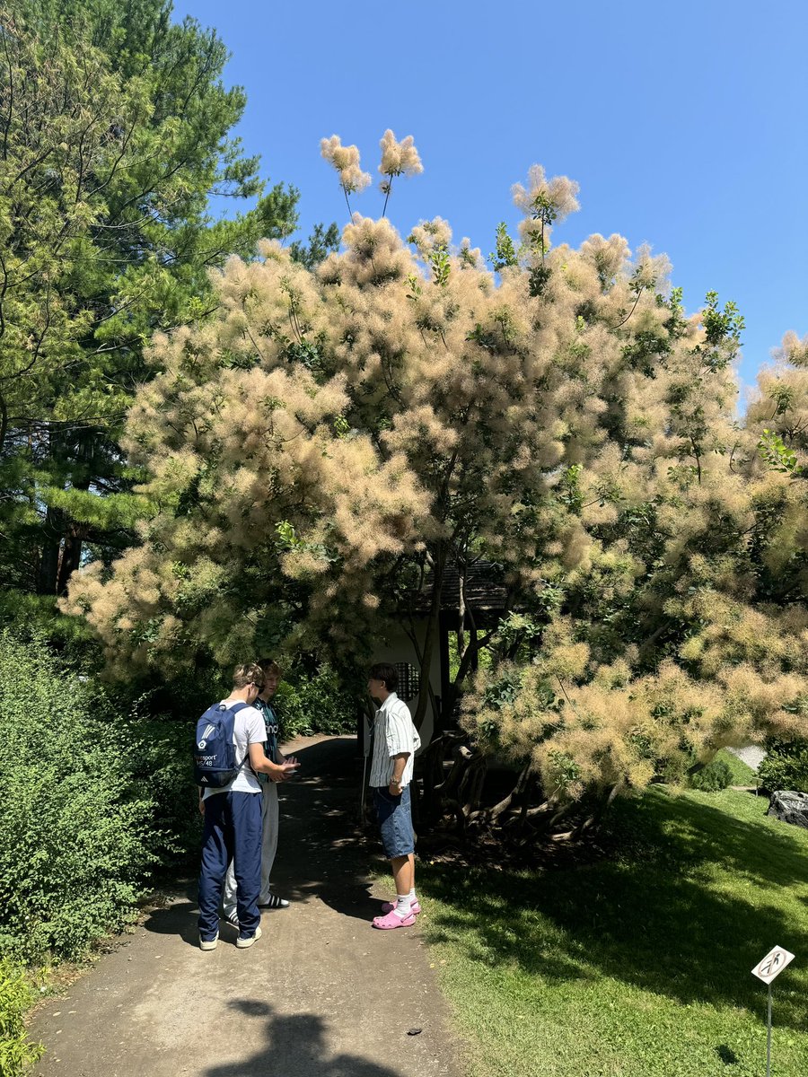 KES Bath Sports Tours tweet media