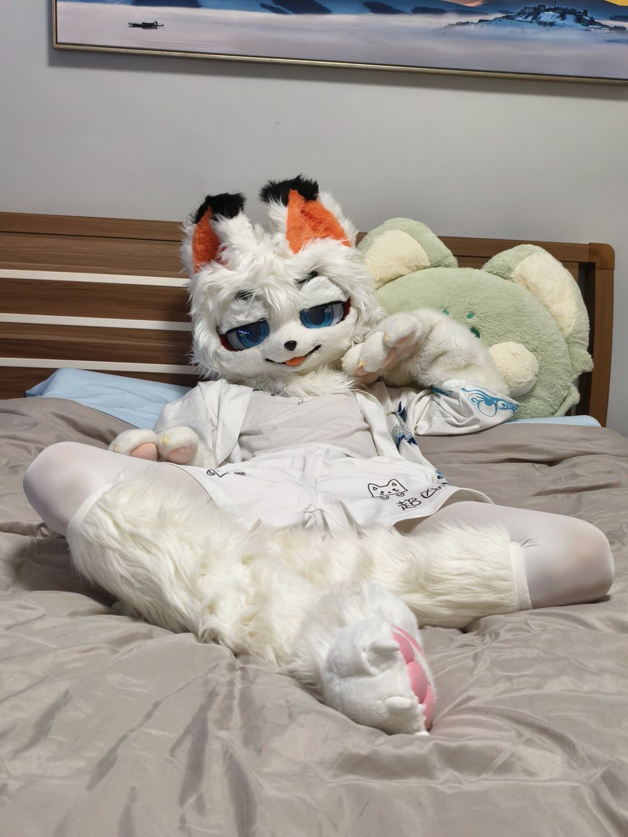 狐狸摆烂了 tweet media