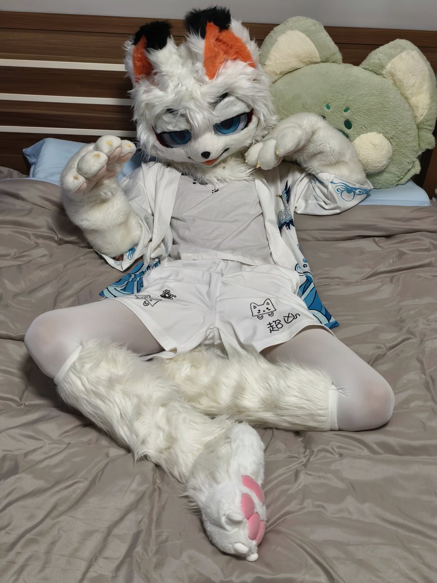 狐狸摆烂了 tweet media