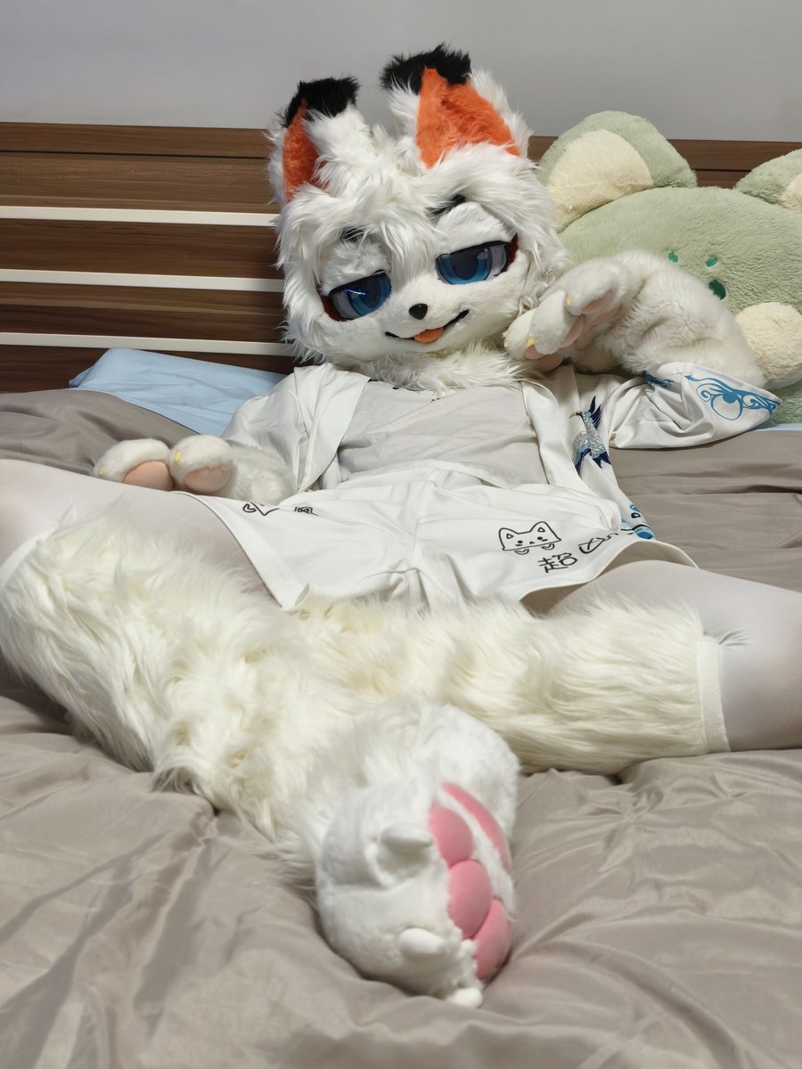 狐狸摆烂了 tweet media