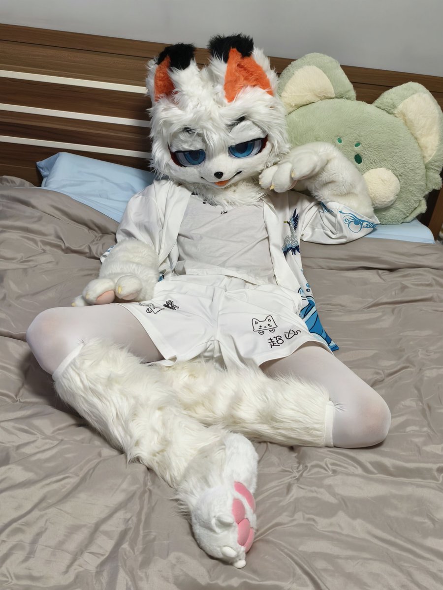 狐狸摆烂了 tweet media