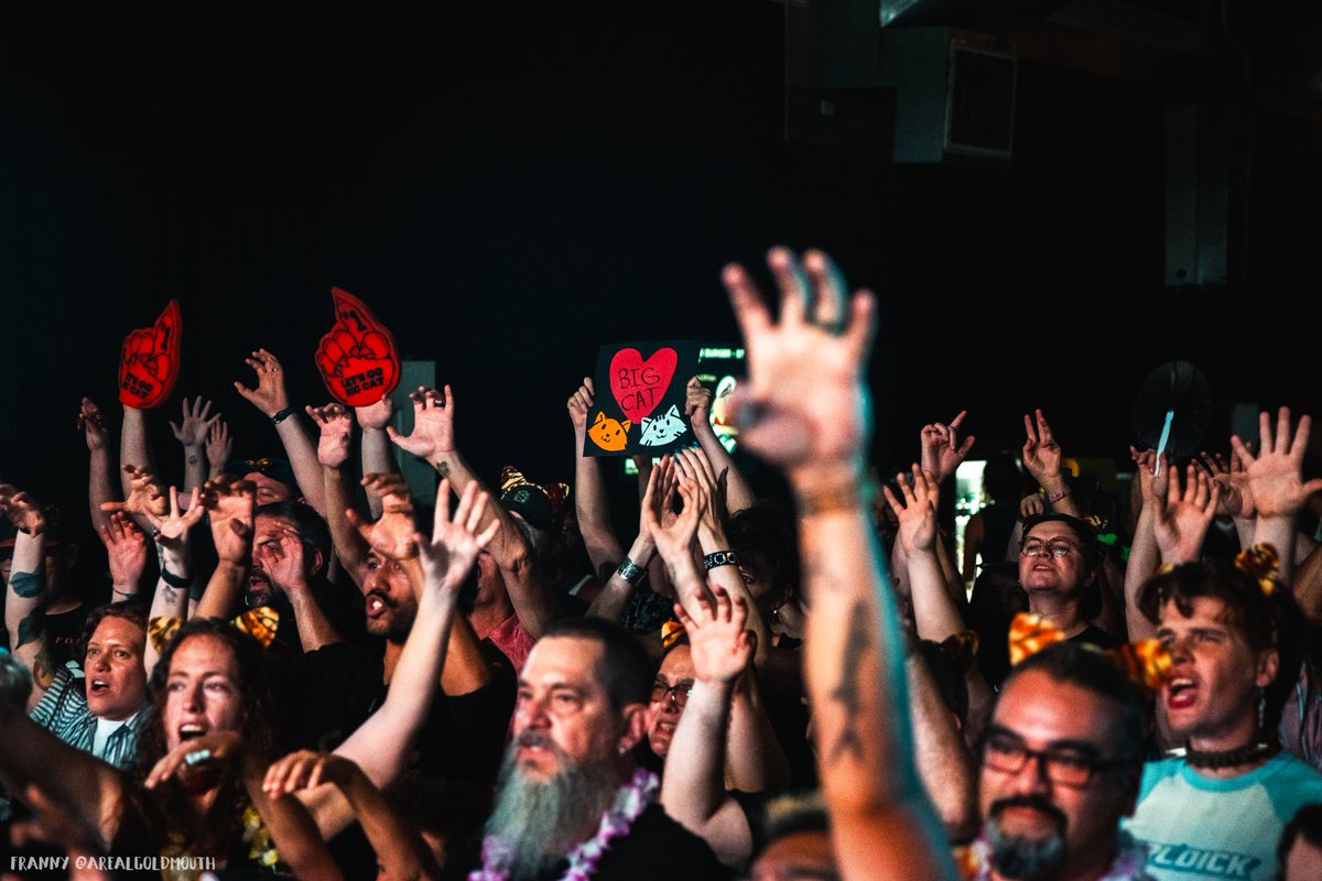 franny with a why tweet media