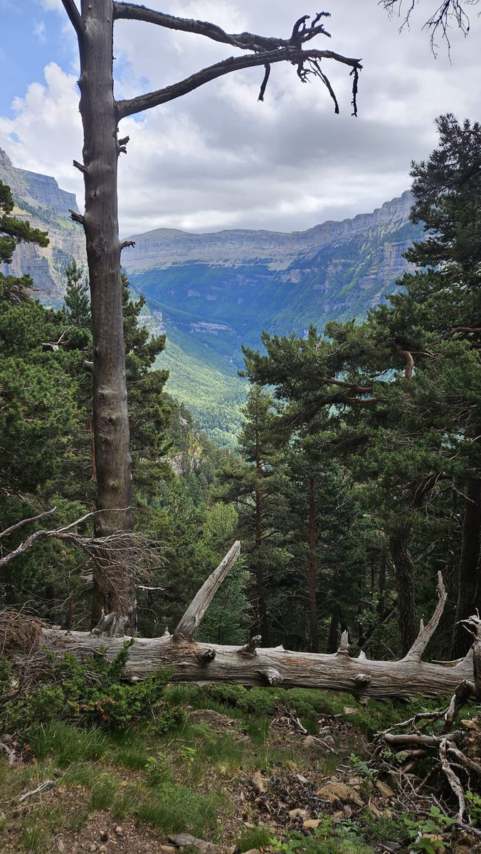 Simone Kramer C-MONE tweet media