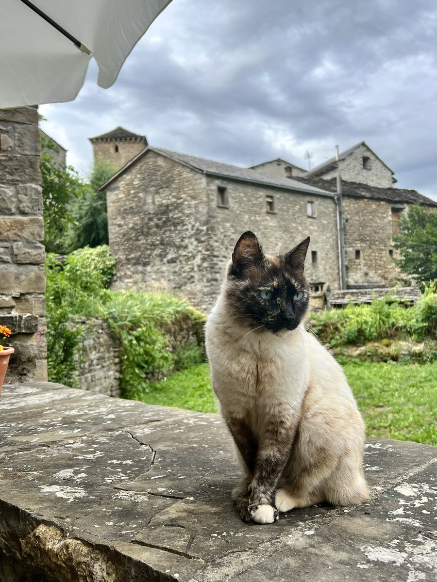 Simone Kramer C-MONE tweet media