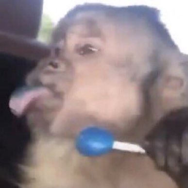 𝓙𝓾 🦋 tweet media