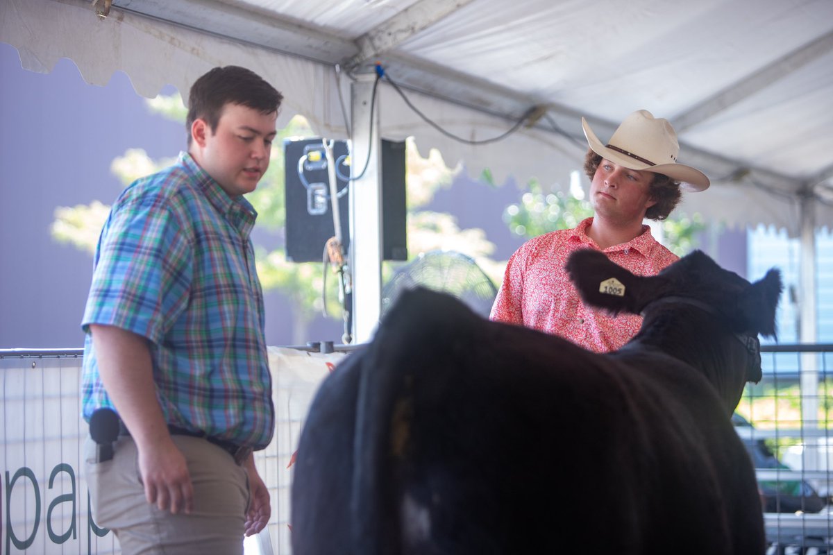DouglasCoFairNE's tweet photo. Douglas County Fair Day 1 has been AWESOME!

So many events, smiles, &amp; laughs already. Don’t miss out on the fun! Join us this afternoon and tomorrow to get your piece of the action too. You don’t even have to worry about the heat with our wonderful (air conditioned😉) facilities https://t.co/zA0WNZSyEZ