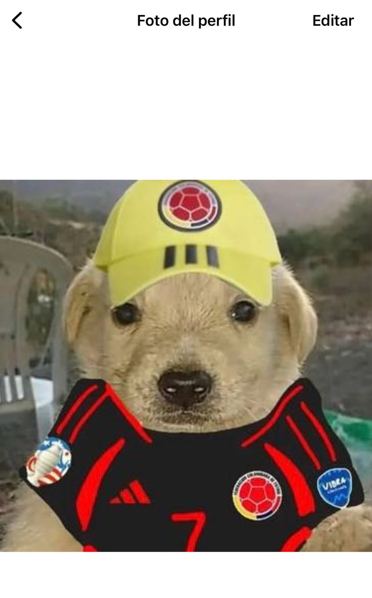 Número 9 🎩 tweet media