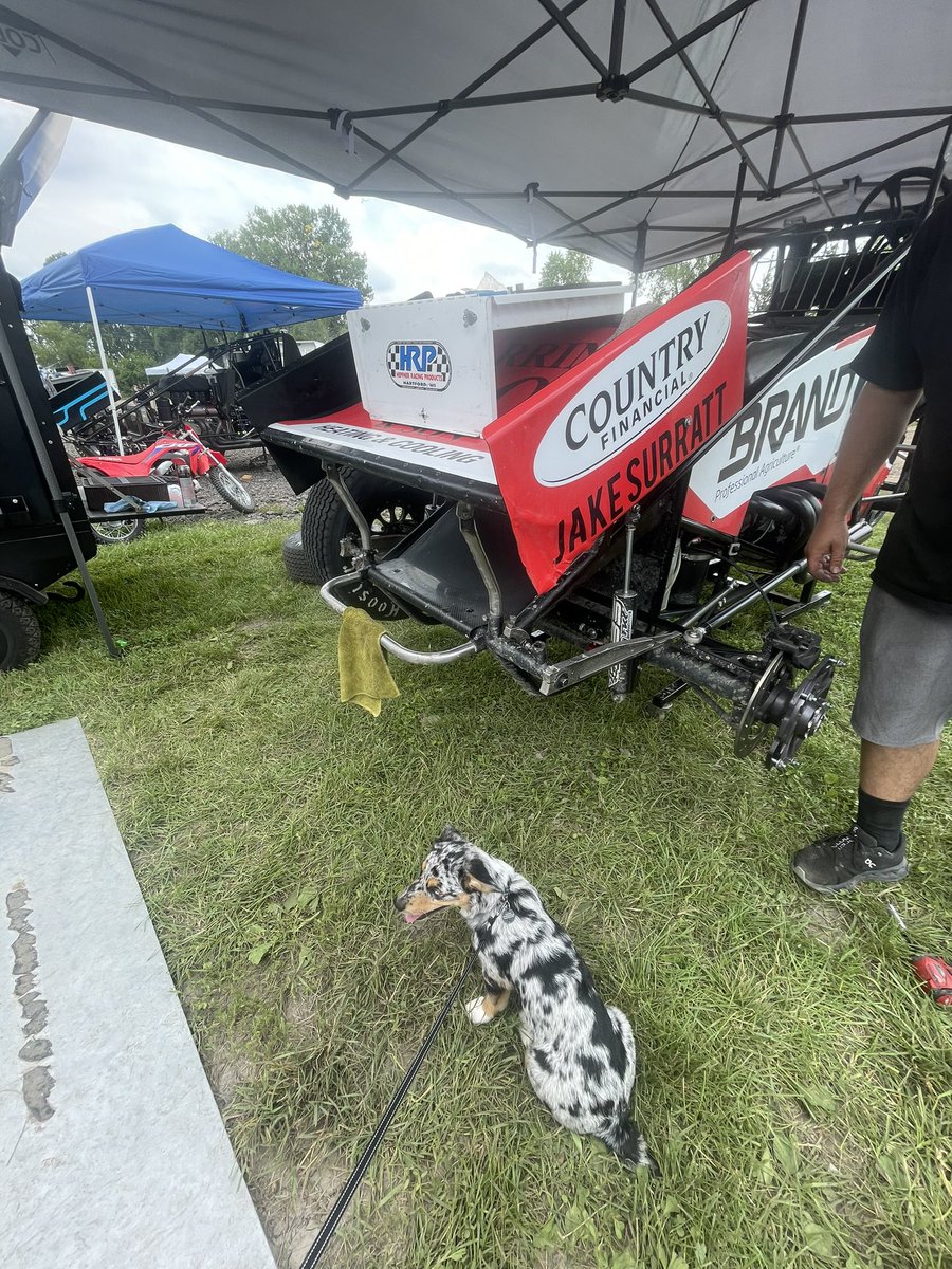 Jake Neuman (@jake_neuman3n) on Twitter photo Final night at Wilmot with the <a href="/WorldofOutlaws/">World of Outlaws</a>. Tried some new things last night on the car and made the show.
๐ Apparel located at the trailer
๐บ <a href="/dirtvision/">DIRTVision</a>
๐ <a href="/WorldofOutlaws/">World of Outlaws</a>
๐ Wilmot Raceway
โฐ Hot laps at 6:30 pm with racing to follow Final night at Wilmot with the <a href="/WorldofOutlaws/">World of Outlaws</a>. Tried some new things last night on the car and made the show.
๐ Apparel located at the trailer
๐บ <a href="/dirtvision/">DIRTVision</a>
๐ <a href="/WorldofOutlaws/">World of Outlaws</a>
๐ Wilmot Raceway
โฐ Hot laps at 6:30 pm with racing to follow