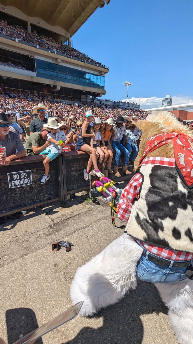 Harry The Horse tweet media