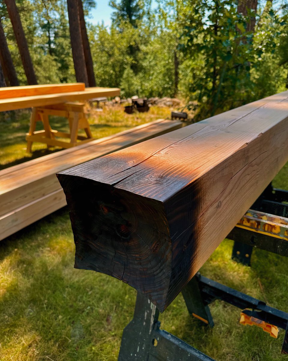 Jackson Petty tweet media