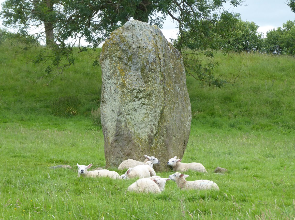 A magical history tour in <a href="/VisitEden/">Visit Eden</a> Penrith today-prehistoric henges, Roman fort, Medieval castles + plague stone &amp; 17th C Countess Pillar. Used <a href="/northernassist/">NORTHERN 🚆</a> Leeds-Settle-Carlisle rail + <a href="/StagecoachCNL/">Stagecoach Cumbria</a> 563 Kirkby Stephen station-Penrith bus.📷Standing stone at Mayburgh Henge.