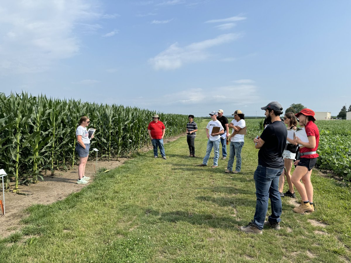 Rodrigo Werle tweet media