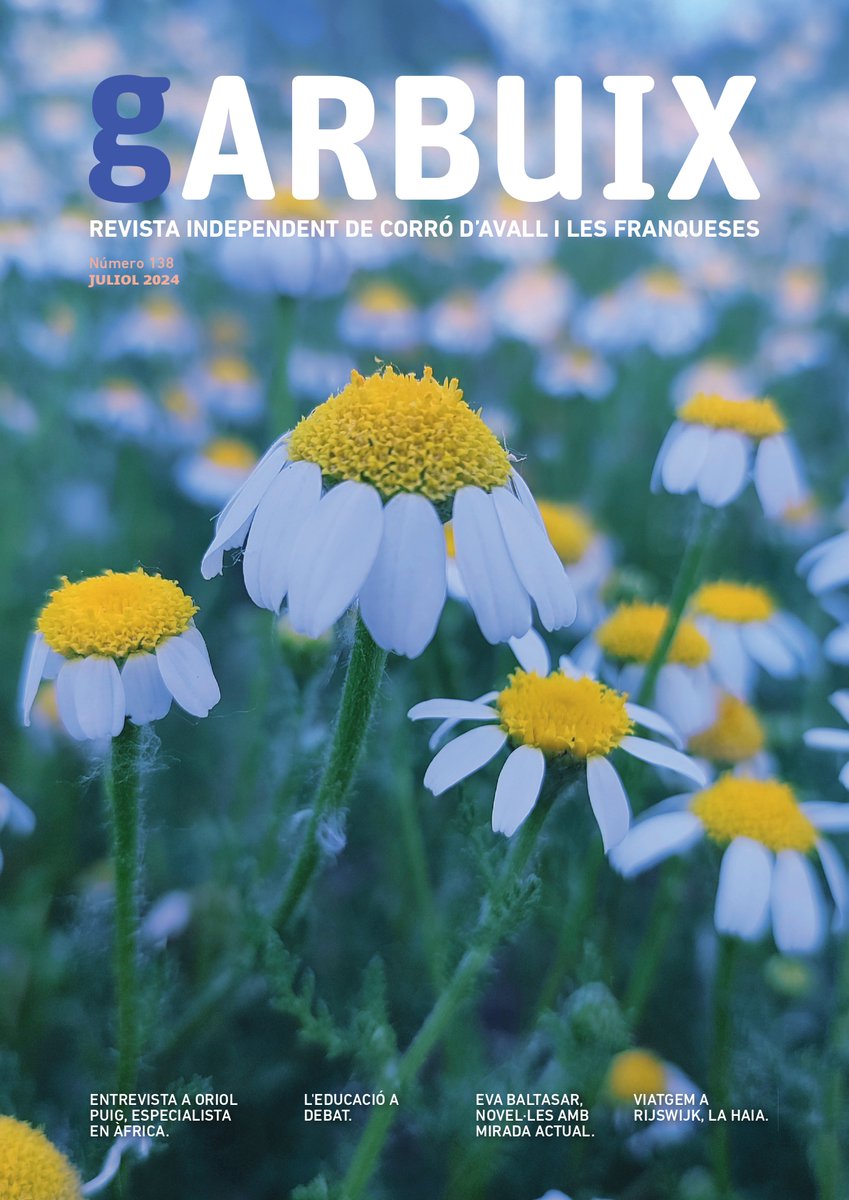 Revista Garbuix tweet media