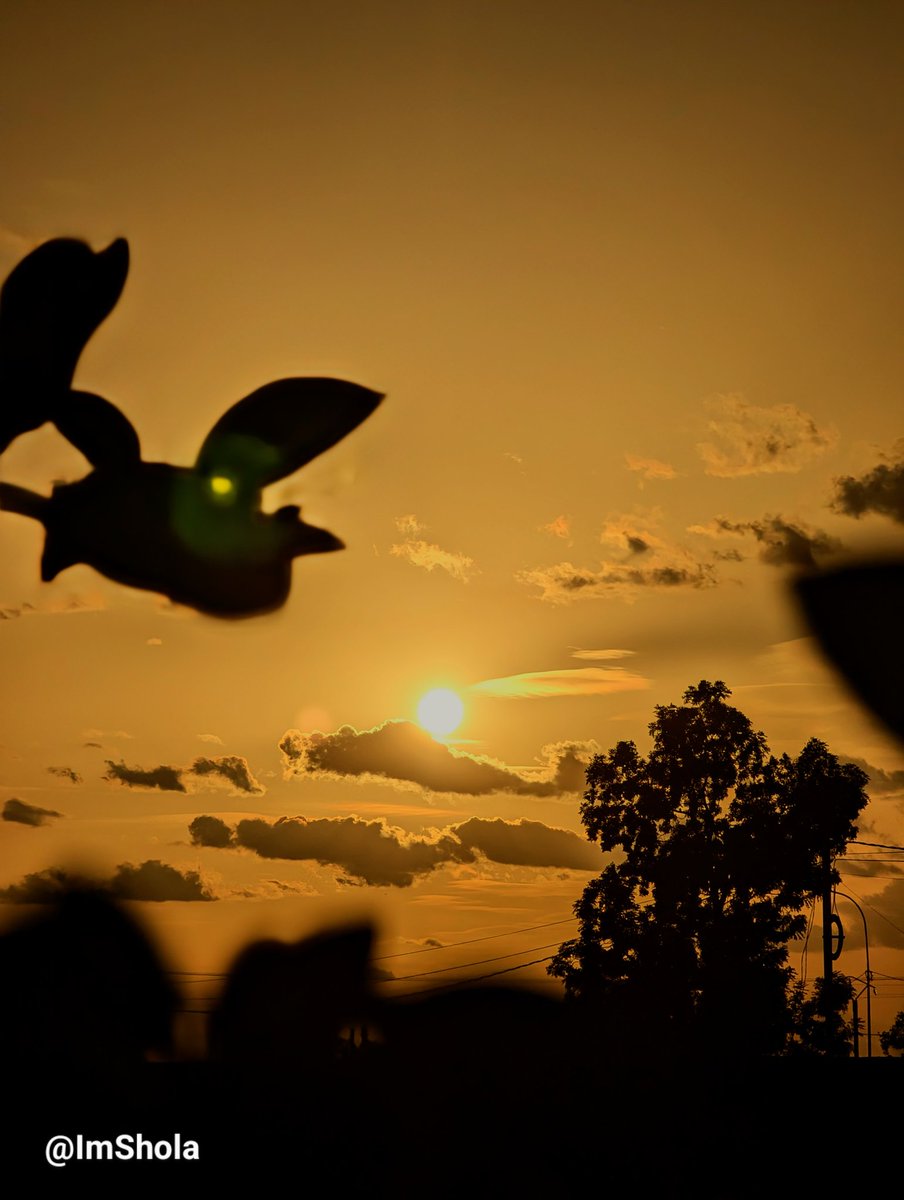 ImShola's tweet photo. Il n'y a rien de plus gratifiant que de voir le soleil se coucher après une semaine où tous mes objectifs ont été atteints. 🌅 Sentiment d'accomplissement et de sérénité. Continuons sur cette lancée ! 💪✨ #ObjectifsAtteints #BonheurSimple #sunsetphotography #FasoPics #DiscoverBF https://t.co/jx6dchdCCC