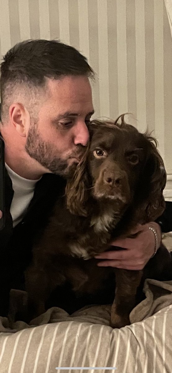 You can never underestimate what a dog can do for you , this guy gets me through every day and he will never know that 💙🦋 #jax #cockerspaniel #dog