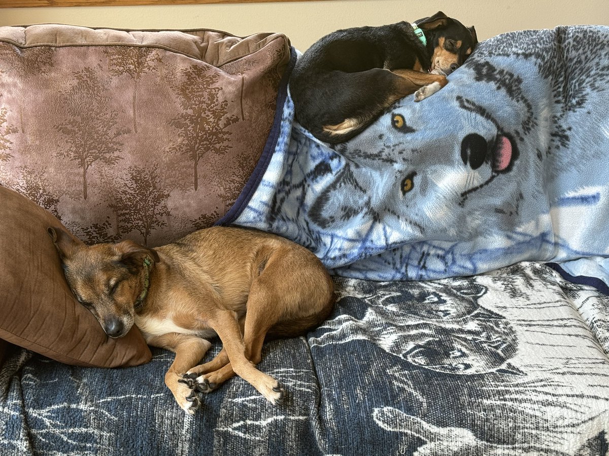 Matt Feyen tweet media