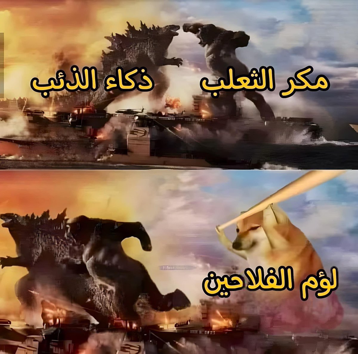 🪽مَحْمُودْ tweet media