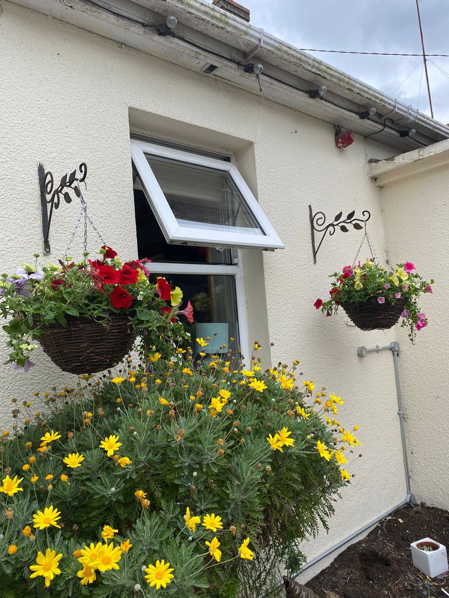 AnewSupportServices (@anewsupport) on Twitter photo Thank you so much to EEC Hardware in Balbriggan for the beautiful hanging baskets that were donated to the Cottage this week. They help make the Cottage more warm@and welcoming for all the new mams and babies we work with. #communitysupport <a href="/HomevalueHware/">Homevalue Hardware</a> Thank you so much to EEC Hardware in Balbriggan for the beautiful hanging baskets that were donated to the Cottage this week. They help make the Cottage more warm@and welcoming for all the new mams and babies we work with. #communitysupport <a href="/HomevalueHware/">Homevalue Hardware</a>