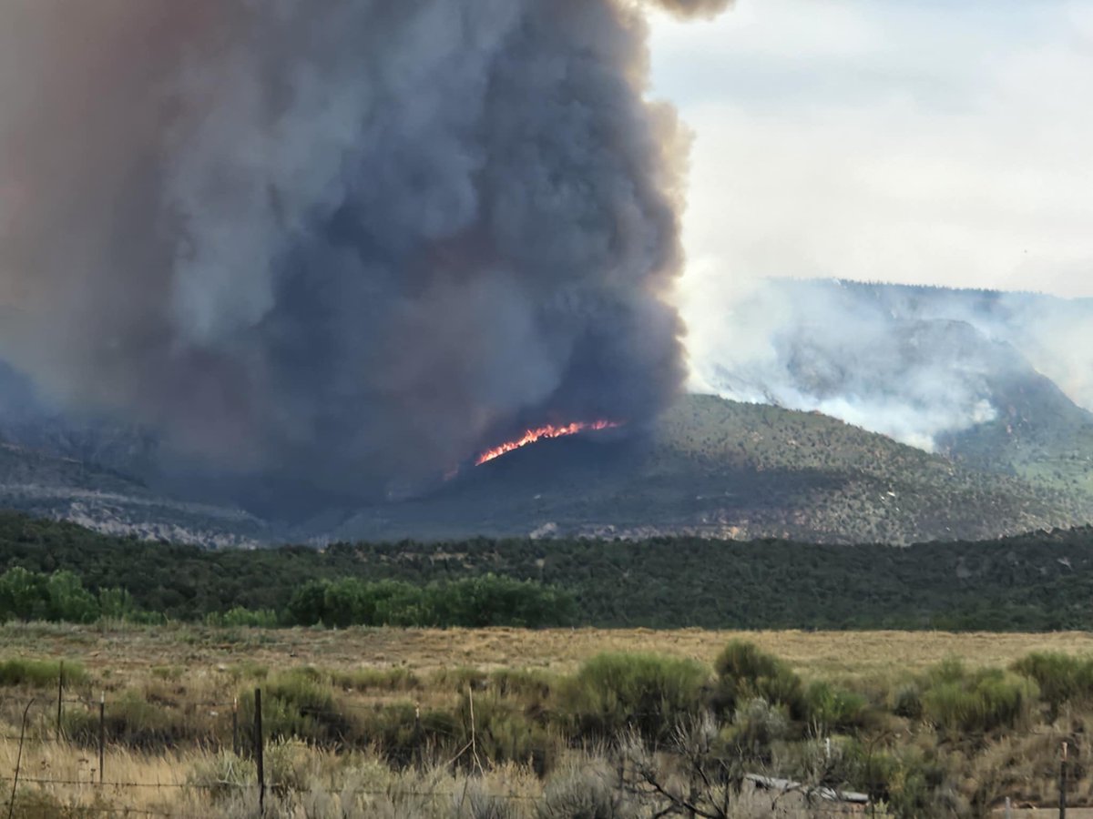 brian_schnee's tweet photo. #GraffPointFire is absolutely ripping this afternoon. 

📷 Pics shared with me from shortly after 3PM

🚨 “An evacuation order is in place for all cabins, trailers, etc, that are located above the fire in the upper basin and Shurtz Canyon. Road closures from Shurtz Canyon Road to Right Hand/Kolob Mt. Road. Please avoid the area.”