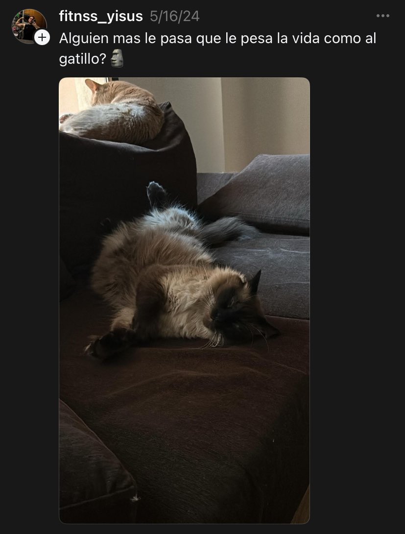 El_inquietudes's tweet photo. Que grande es el YISUS no contento con atenderle la "novia" y quedarse con su apartamento, también se da el LUJAZO de cuidarle los gatos, si el calvo no despierta también es capaz de quitarle la madre 💪🤣 https://t.co/Tqwq6B3uzv