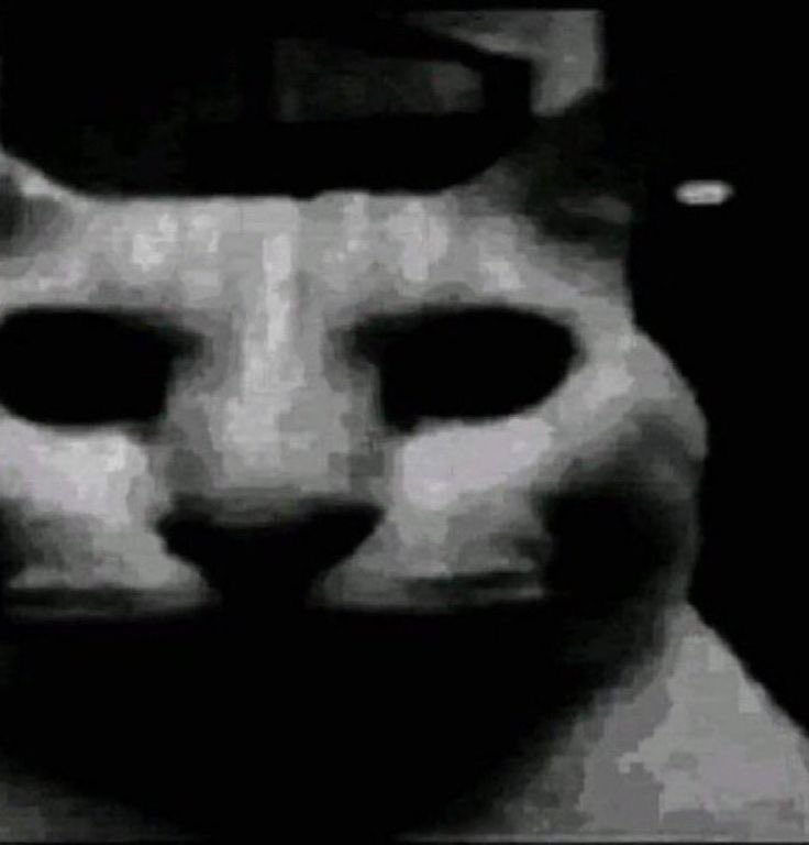 ES PELEA DE PUTAZOS NO DE ABRAZOS PLEX