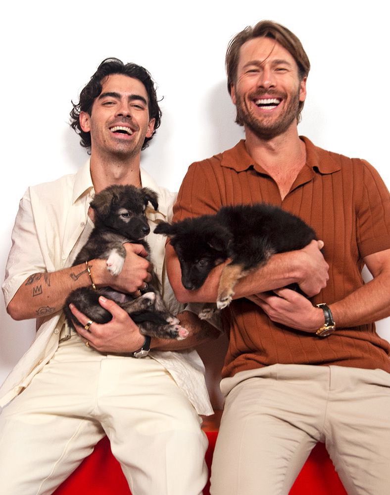 LeahEchelon's tweet photo. a puppy holding a puppy next to a puppy holding a puppy <3 https://t.co/aQoZ1RJiQX