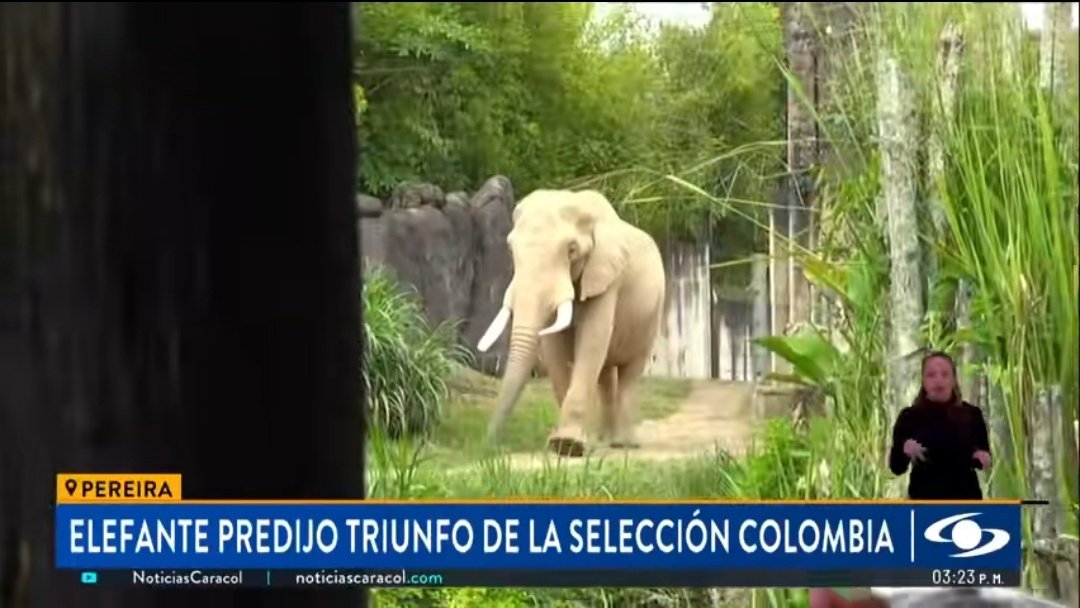 parkhyunlix's tweet photo. ah pero argentina nunca gozará de: https://t.co/fJzSBm1izI