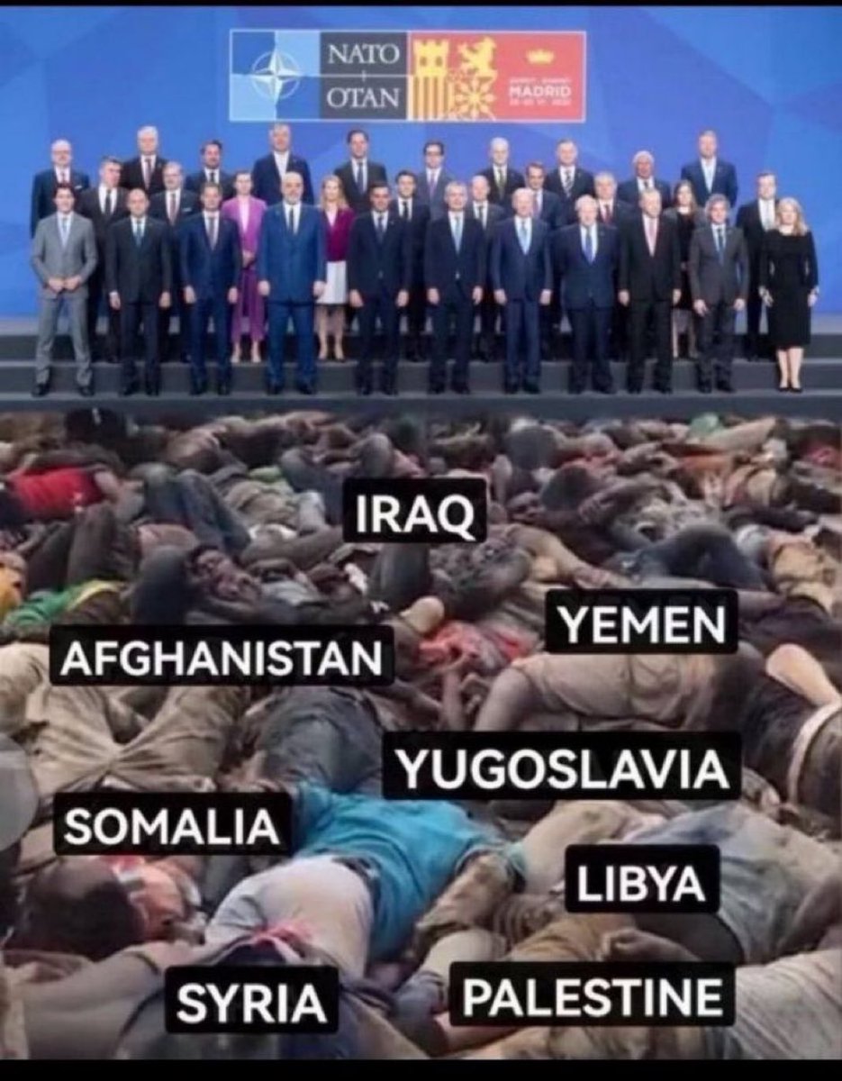 DrLoupis's tweet photo. Who’s the terrorist? https://t.co/kFuQqODszq