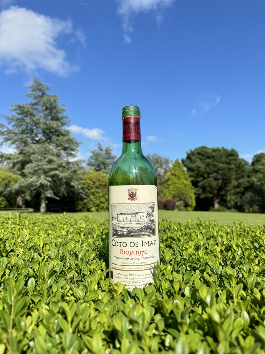 Vinus Maximus tweet media