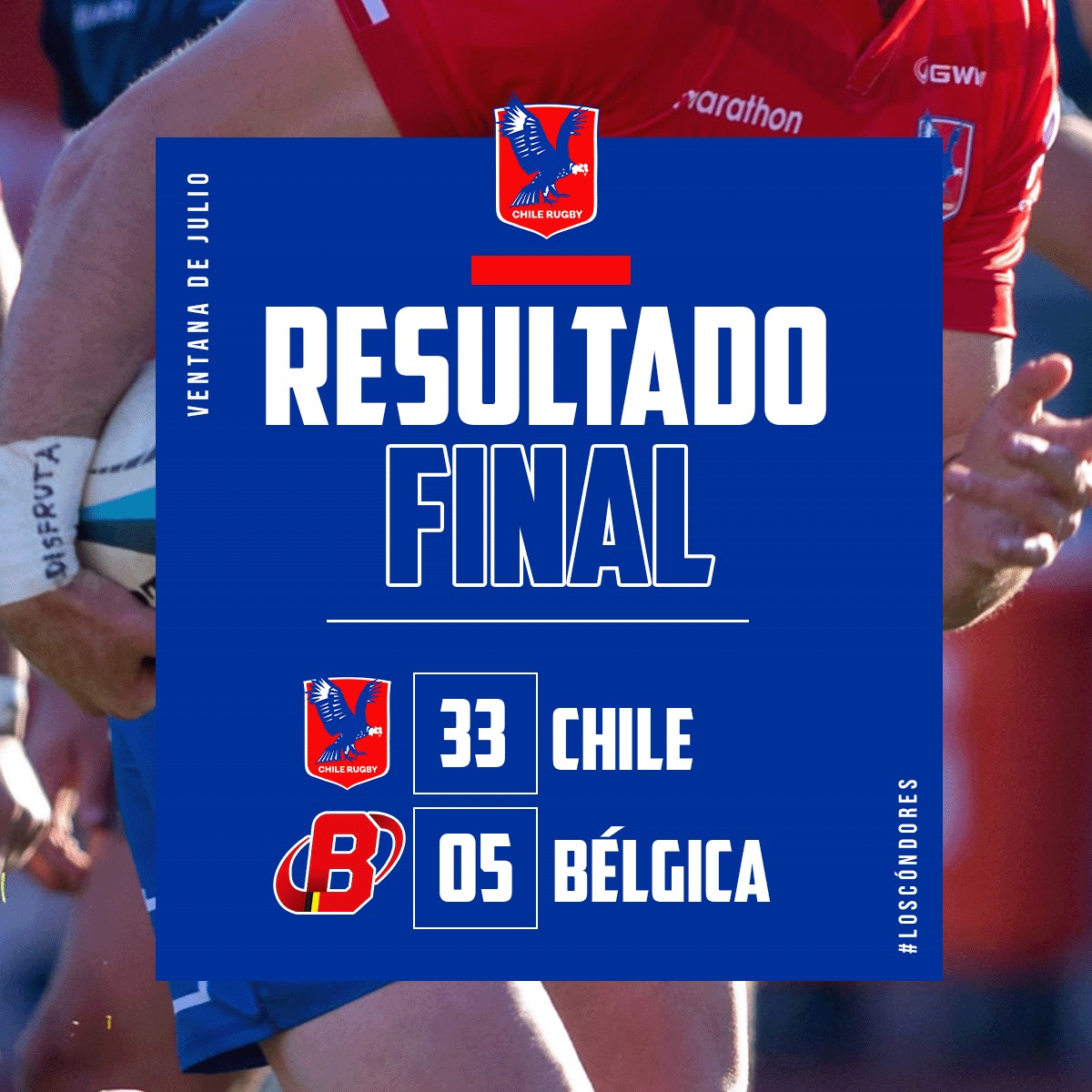 Condores.rugby tweet media