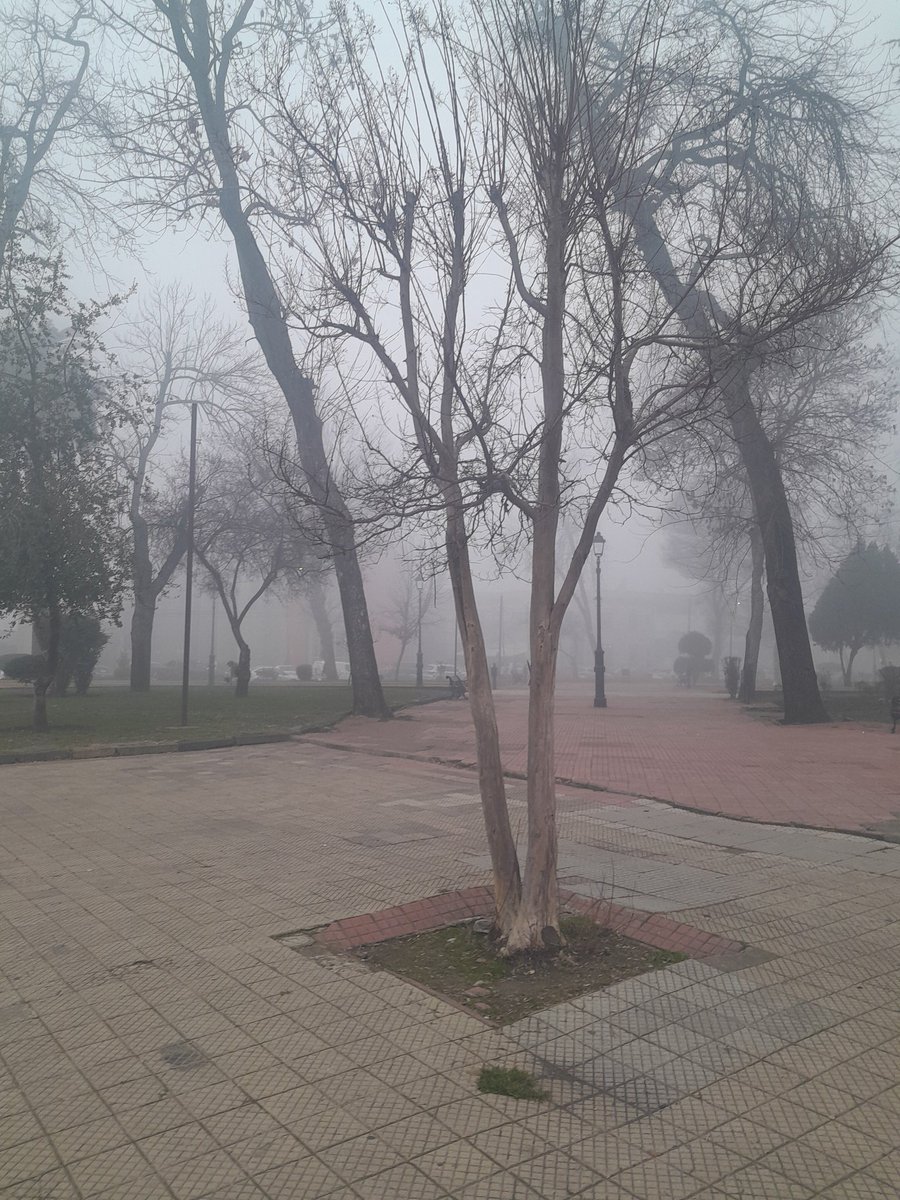 framedina89's tweet photo. #Chillan inusual niebla https://t.co/m0bVeNXIJi