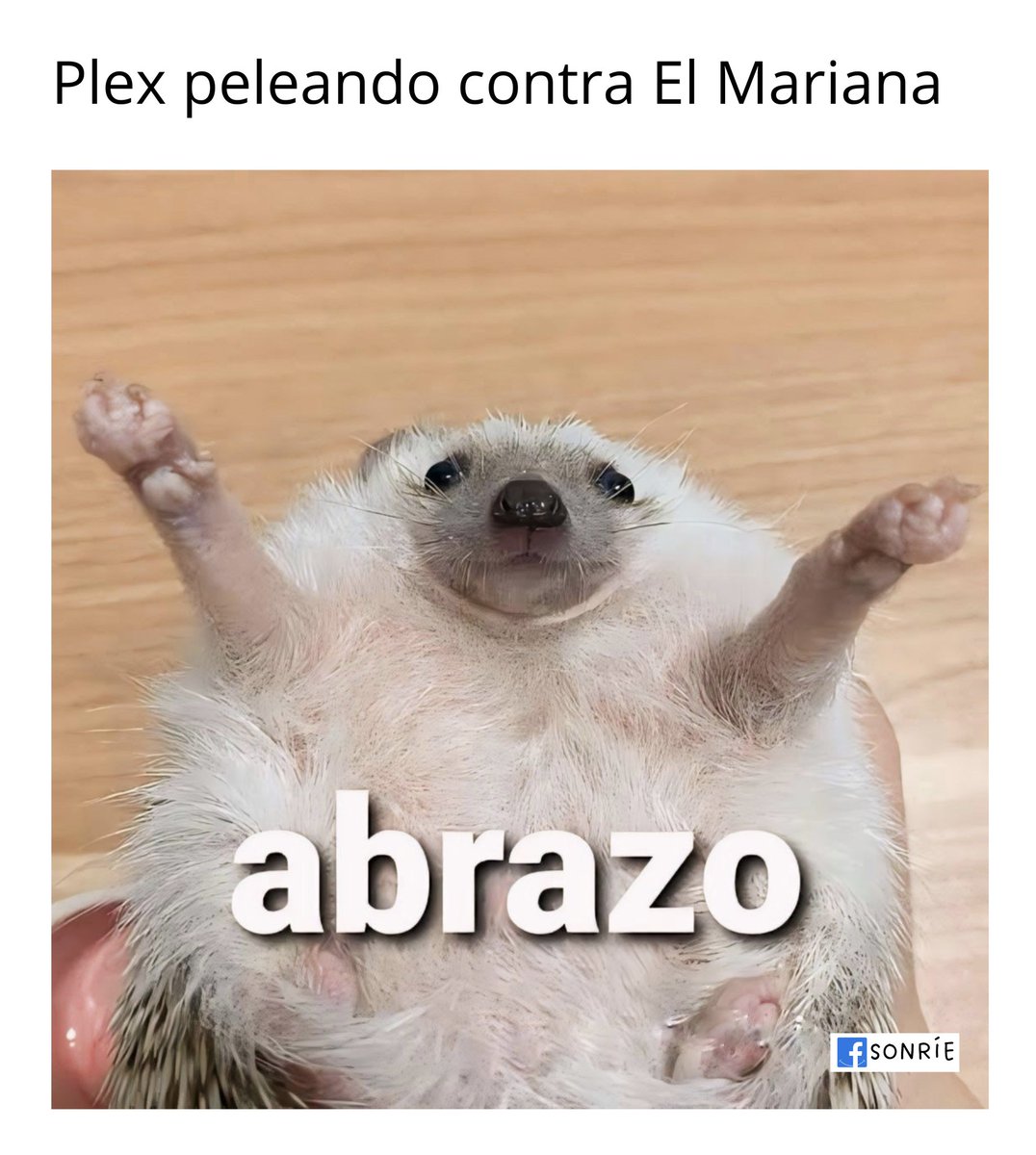 ivansr1's tweet photo. Plex vs El Mariana https://t.co/kbLtT1IV7J