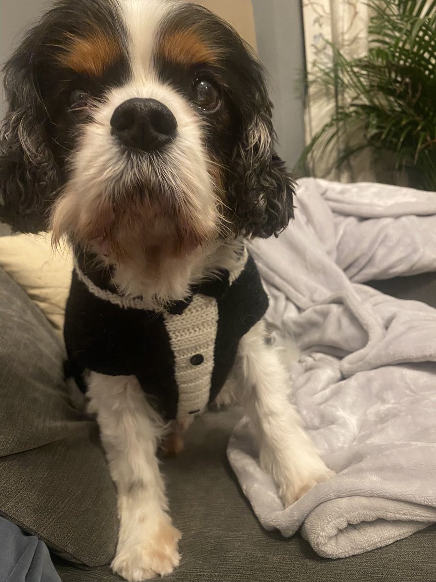 Sara Nanayakkara tweet media