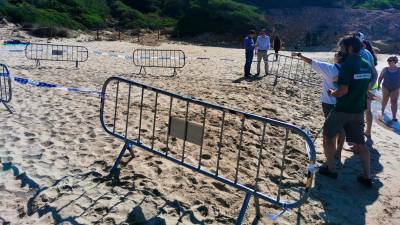 PlatjaLlargaTGN's tweet photo. Una platja tan tranquila q el 12 juliol 2024 una #tortugaMarinaBabaua l'ha triat per fer la posta d'ous des de l'altra punta del món.
Llegir fil al.legacions al passeig maritim.
#TortugaBoba #TortugaCarettaCaretta @crampress @TGNAjuntament @Dipta_cat #MisterioDeCostas #SEPG https://t.co/eJv8Qixgnp